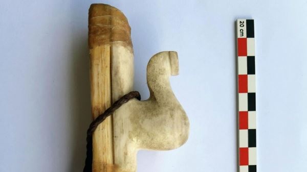 Чудо-оружие древних ариев: археологи восстановили лук времен Аркаима 0